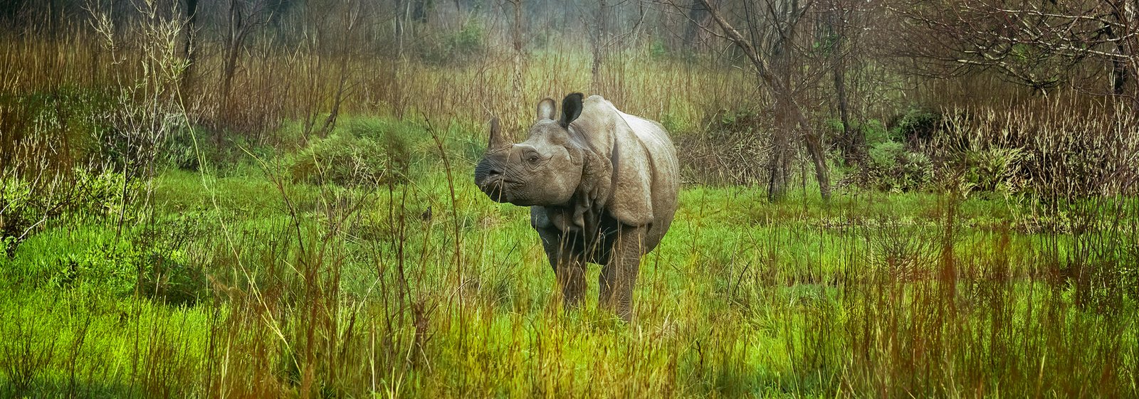 Chitwan: A Different Side of Nepal