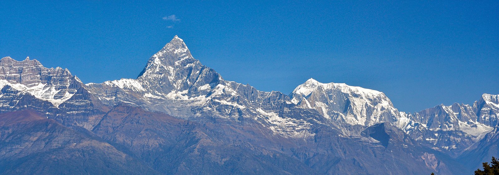 Walking Through the Himalayas