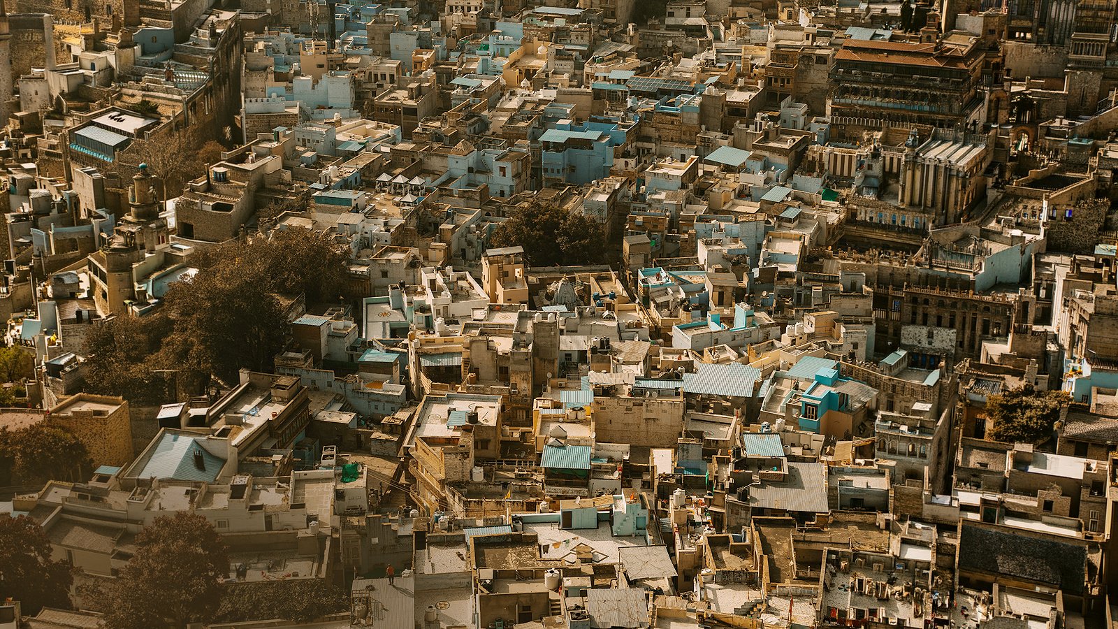 jodhpur-4 India Unframed