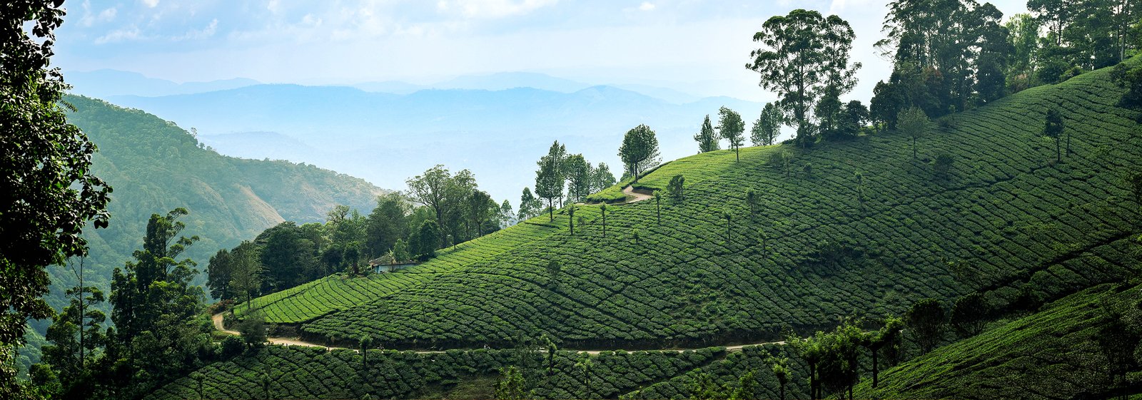Sri Lanka Travel Tips for First-Time Visitors
