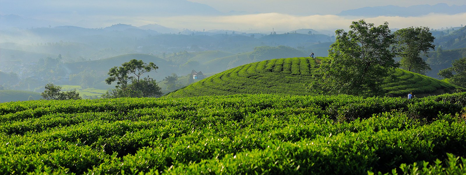 Sri Lanka Travel Tips for First-Time Visitors